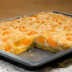 Saftiger Quark Streuselkuchen mit Aprikosen, frisch aus dem Ofen.