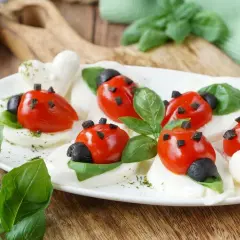 Leichte Salate als Vorspeise: Marienkäfer aus Tomaten und Mozzarella auf Basilikumblättern, garniert mit Oliven und Kräutern.