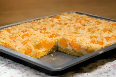 Saftiger Quark Streuselkuchen mit Aprikosen, frisch aus dem Ofen.