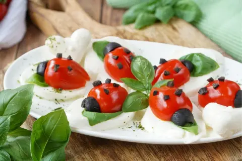 Leichte Salate als Vorspeise: Marienkäfer aus Tomaten und Mozzarella auf Basilikumblättern, garniert mit Oliven und Kräutern.