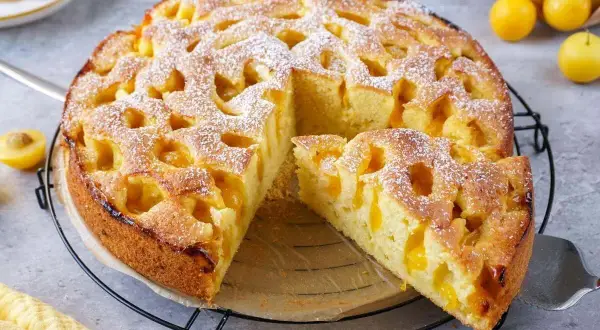 Ein goldbrauner mirabellen kuchen, mit Puderzucker bestäubt, wartet auf seine Genießer. Ein Stück ist bereits herausgeschnitten.