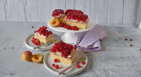 Saftiger Johannisbeerkuchen mit Quark und Pudding, garniert mit frischen roten Johannisbeeren und Aprikosen.