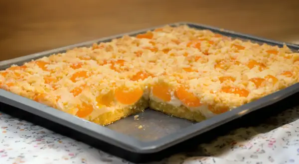 Saftiger Quark Streuselkuchen mit Aprikosen, frisch aus dem Ofen.