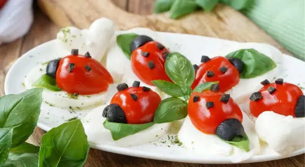 Leichte Salate als Vorspeise: Marienkäfer aus Tomaten und Mozzarella auf Basilikumblättern, garniert mit Oliven und Kräutern.