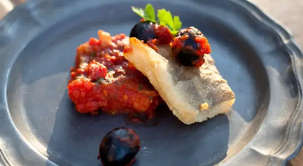 Baccalà alla livornese: ein Stück gebratenes Kabeljaufilet mit Tomaten, Oliven und Petersilie auf einem grauen Teller.