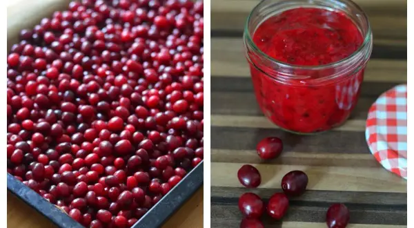 Frische Kornelkirschen auf einem Blech und ein Glas Kornelkirschenmarmelade. Tolle Ideen für Kornelkirsche Rezepte!