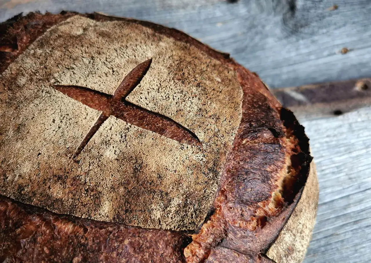 Ein knuspriges, frisch gebackenes Sauerteigbrot mit einer Kreuzschnittmusterung. Dieses
