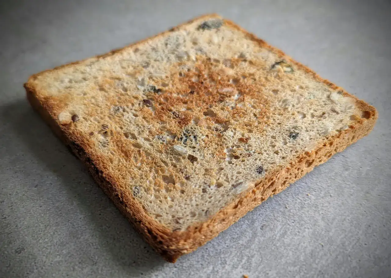 Ein goldbraun getoastetes Vollkornbrot mit Saaten, perfekt für ein schnelles Frühstück oder als Basis für ein leckeres toastbrot rezept.
