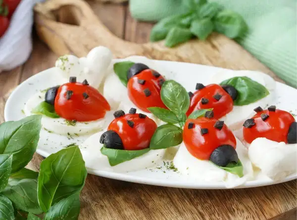 Leichte Salate als Vorspeise: Marienkäfer aus Tomaten und Mozzarella auf Basilikumblättern, garniert mit Oliven und Kräutern.
